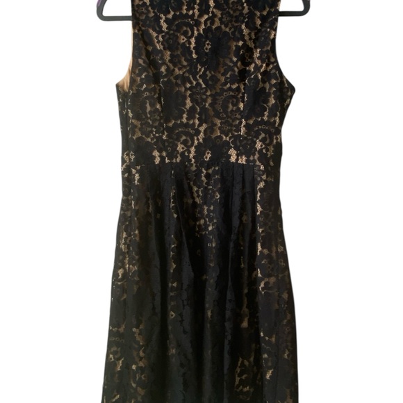 Bébé  Stunning Black Lace Mini Dress with gold lining - Picture 2 of 5